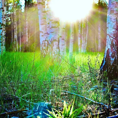 Sepa Puhkekeskus Käina