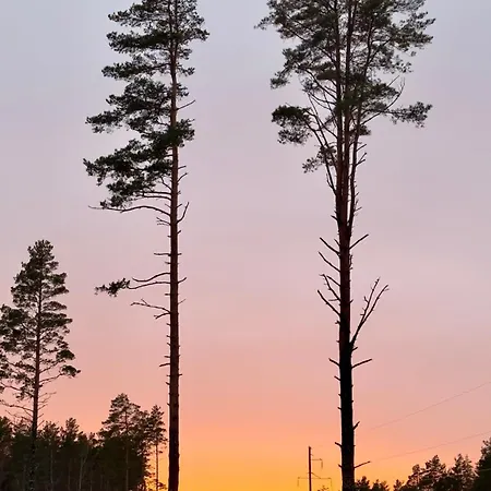 Sepa Puhkekeskus Dom wakacyjny