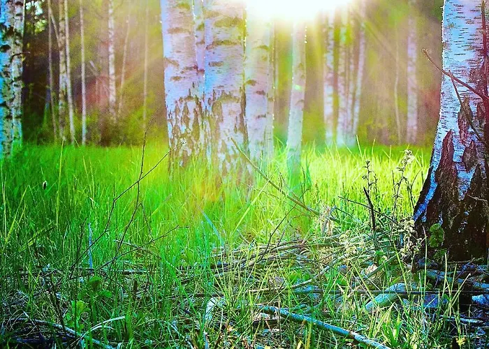 Sepa Puhkekeskus Kaina