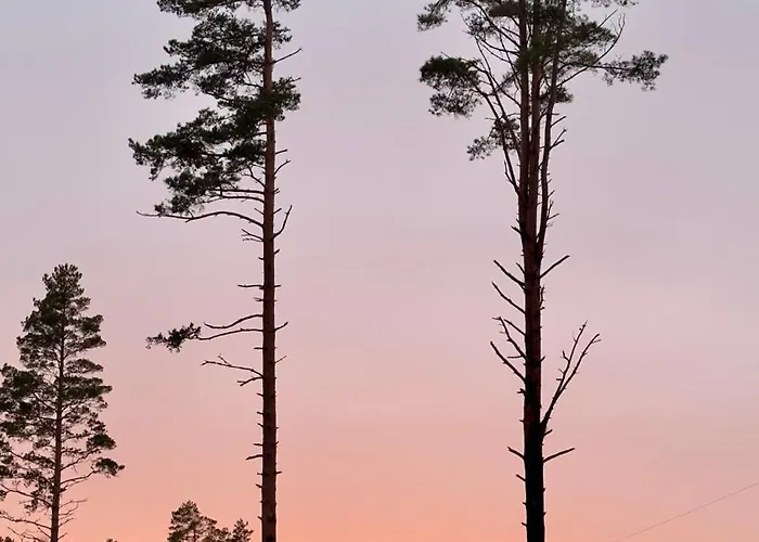 Sepa Puhkekeskus Holiday home